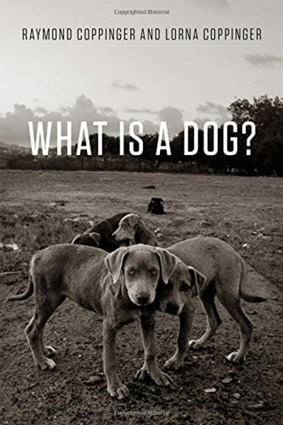 What Is a Dog?