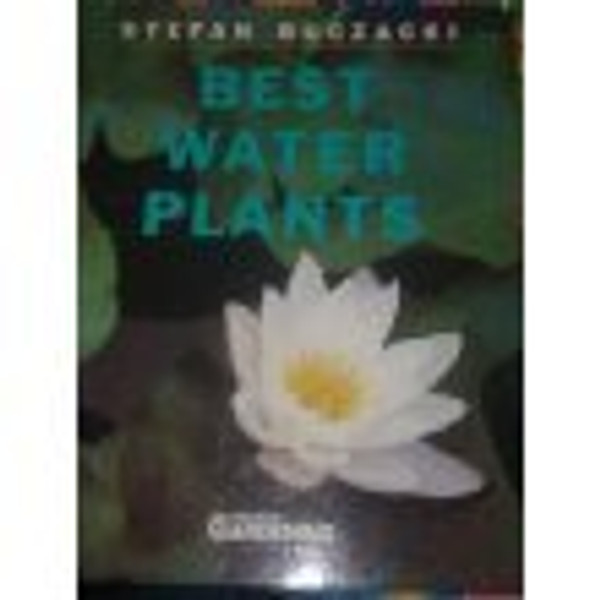 Best Water Plants (Amateur Gardening Guide)