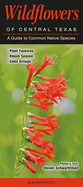 Wildflowers of Central Texas: A Guide to Common Native Species (Quick Reference Guides)