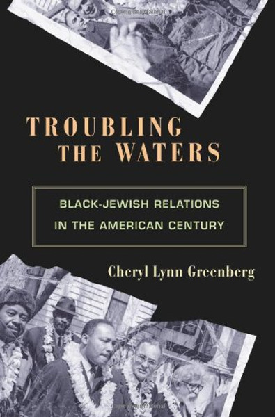 Troubling the Waters: Black-Jewish Relations in the American Century (Politics and Society in Twentieth-Century America)