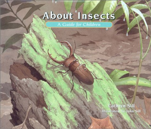 About Insects: A Guide for Children (The About Series)
