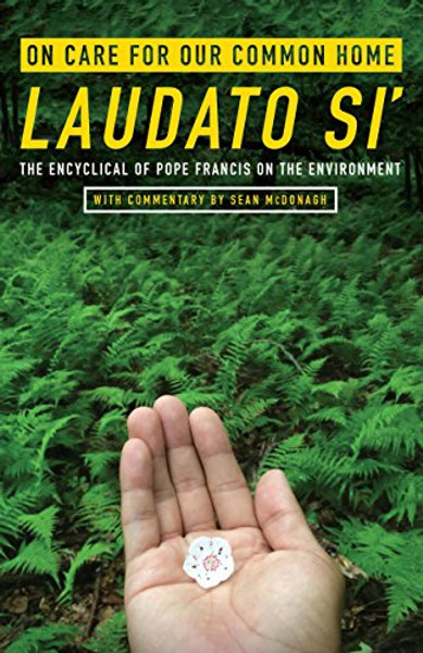 On Care for Our Common Home, Laudato Si': The Encyclical of Pope Francis on the Environment with Commentary by Sean McDonagh (Ecology & Justice)