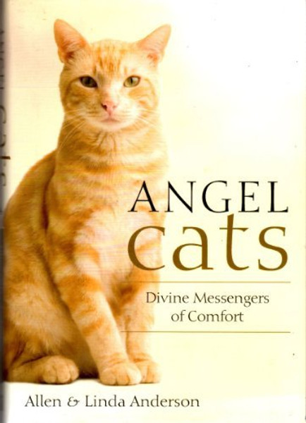 Angel Cats: Divine Messengers of Comfort