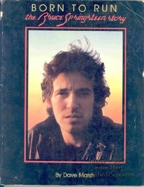 Born to Run: The Bruce Springsteen Story