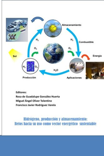 Hidrogeno, produccion y almacenamiento: Retos hacia su uso como vector energetico sustentable (Spanish Edition)