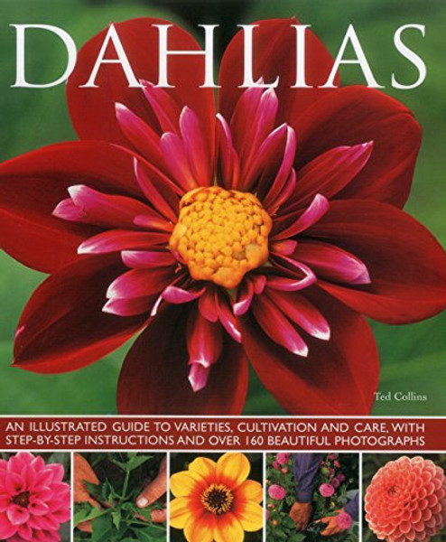 Dahlias: An Illustrated Guide To Varieties, Cultivation And Care, With Step-By-Step Instructions And Over 160 Beautiful Photographs