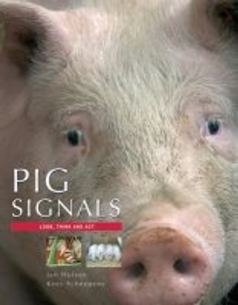 Pig Signals: Look think and act