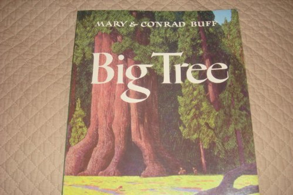 Big Tree