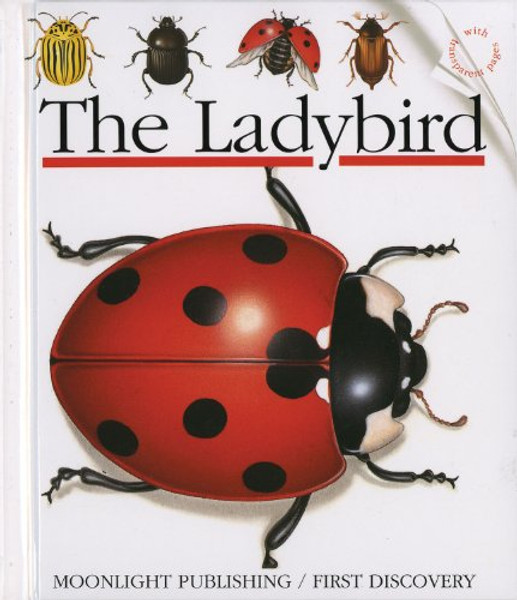 The Ladybird (First Discovery Series)