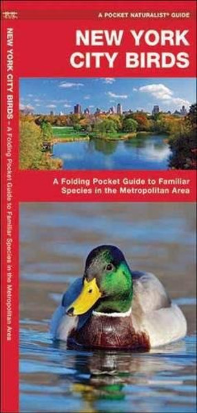 New York City Birds: A Folding Pocket Guide to Familiar Species in the Metropolitan Area (A Pocket Naturalist Guide)