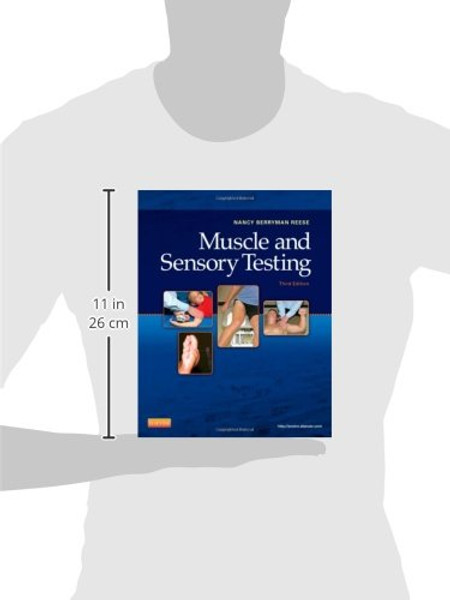 Muscle and Sensory Testing