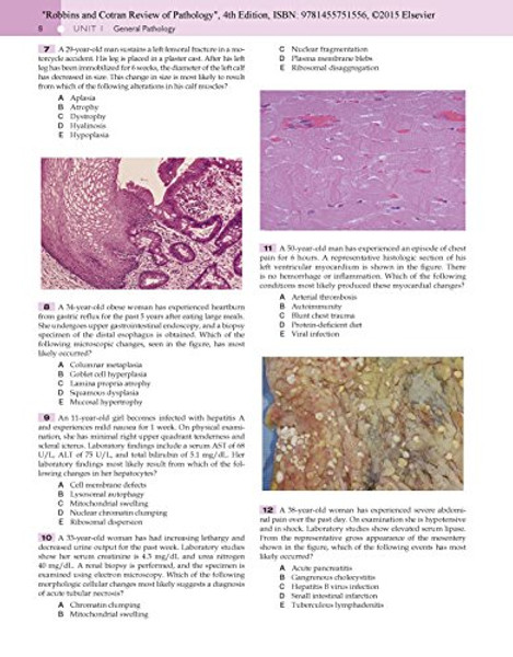 Robbins and Cotran Review of Pathology, 4e (Robbins Pathology)