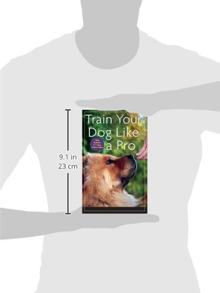 Train Your Dog Like a Pro