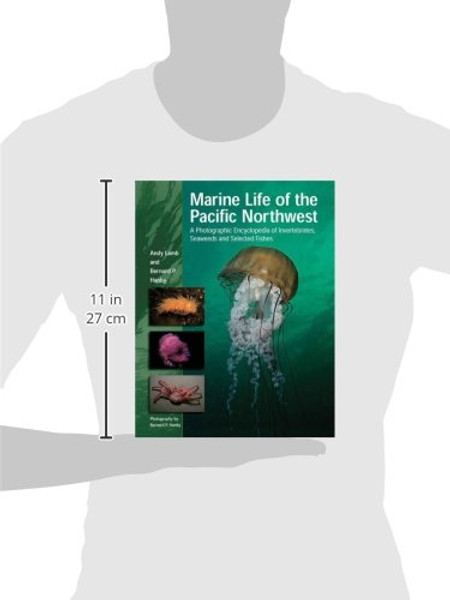 Marine Life of the Pacific Northwest: A Photographic Encyclopedia of Invertebrates, Seaweeds And Selected Fishes