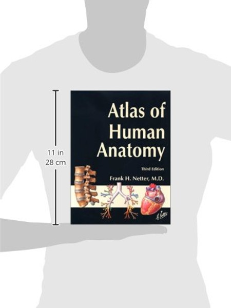 Atlas of Human Anatomy, Third Edition