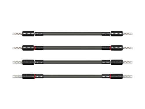 WireWorld Equinox 10 Terminated Bi-Wire Jumper Cables BAN 6"