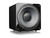 SVS SB-1000 Pro Series Subwoofer Piano Gloss Black