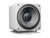 SVS SB-1000 Pro Series Subwoofer Piano Gloss White