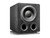 SVS PB-3000 Series Subwoofer Black Ash