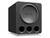 SVS PB17-Ultra R|Evolution Series Subwoofer Black Oak