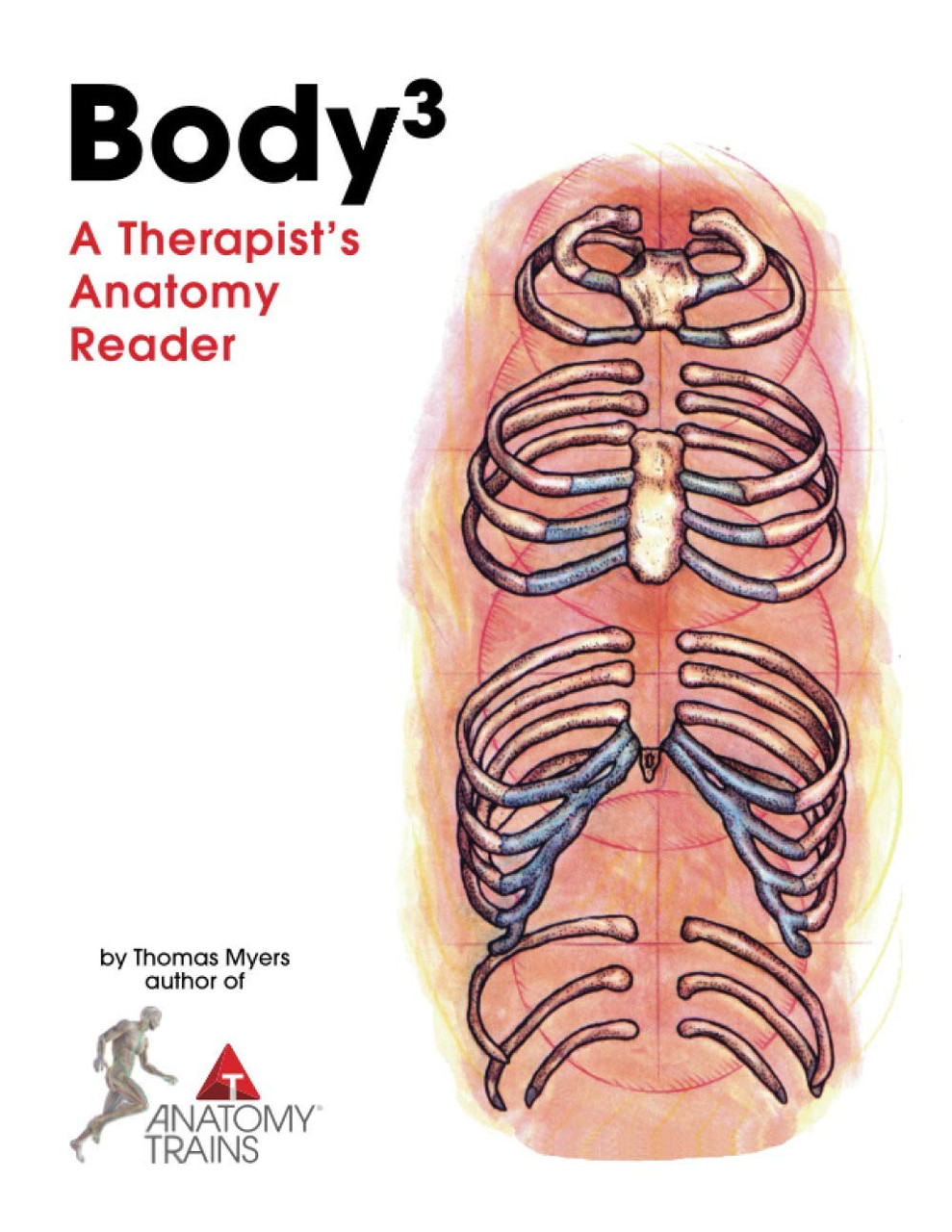Body3: A Therapist's Anatomy Reader by Thomas Myers - American