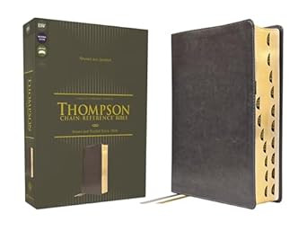 ESV Thompson Chain-Reference Bible Leathersoft Gray Red Letter