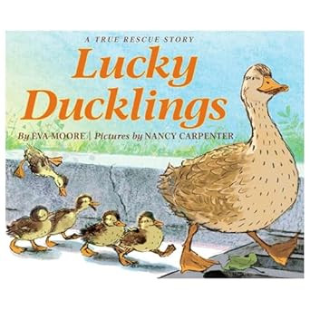 Lucky Ducklings