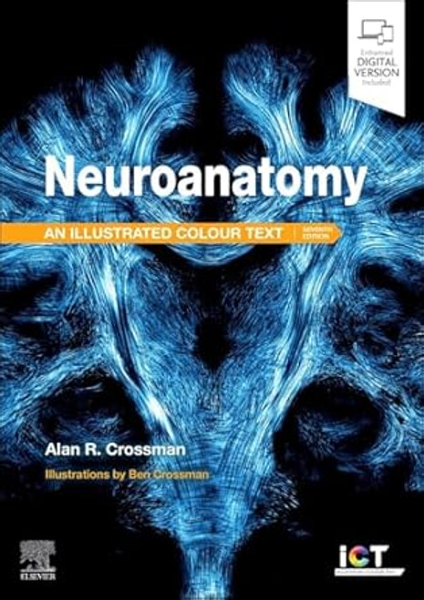 Neuroanatomy