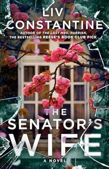 The Senator's Wife: A Novel