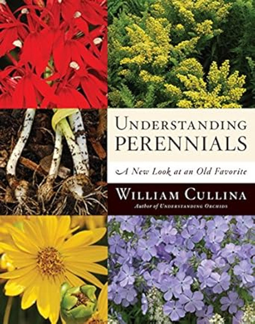 Understanding Perennials