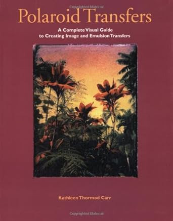 Polaroid Transfers