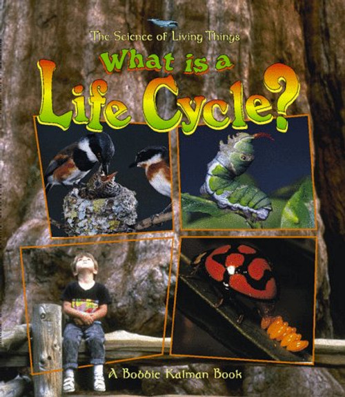 What Is a Life Cycle?