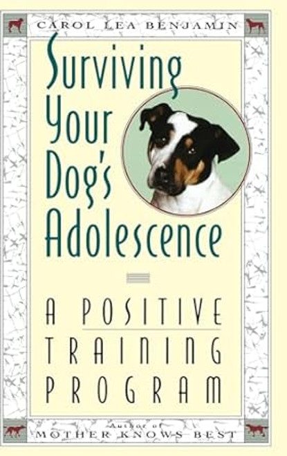 Surviving Your Dog's Adolescence