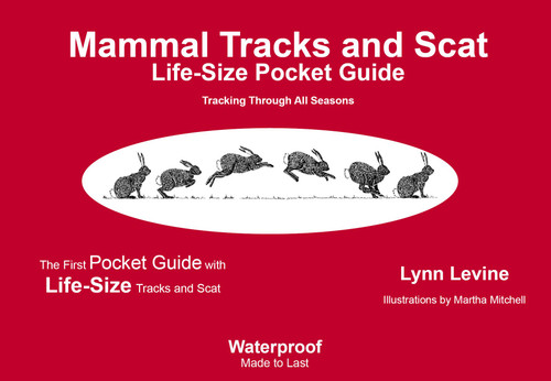 Mammal Tracks and Scat