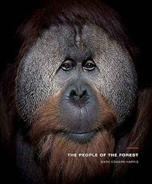 The People of the Forest