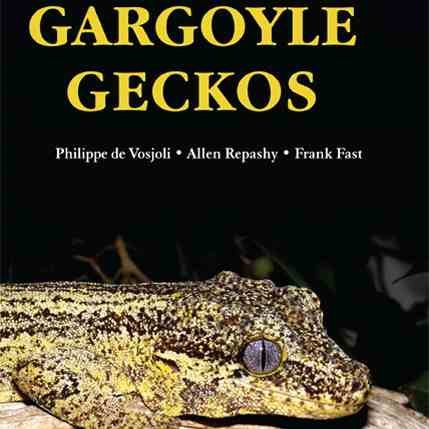 Gargoyle Geckos