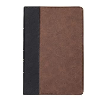 CSB Large Print Thinline Bible