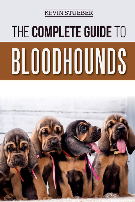 The Complete Guide to Bloodhounds