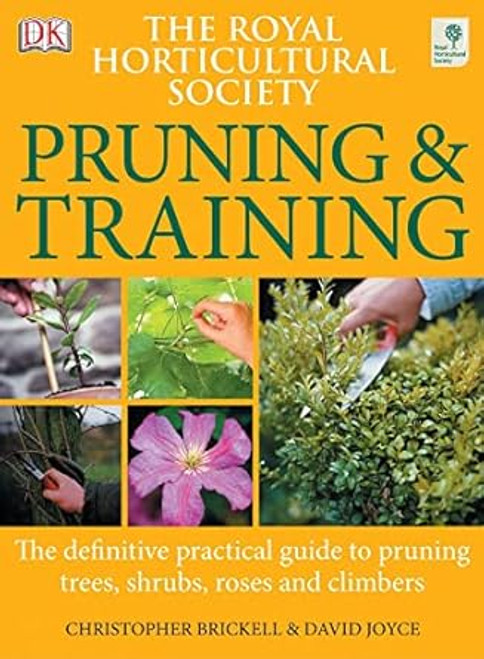 RHS Pruning and Training by David Joyce
