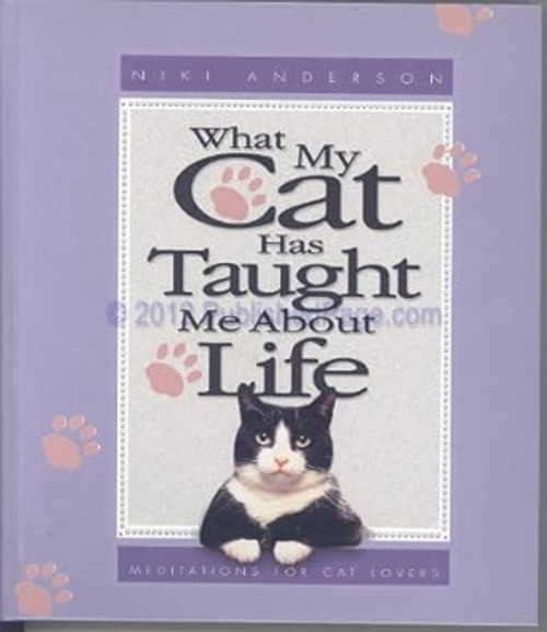 What My Cat Has Taught Me About Life
