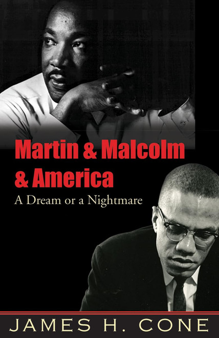 Martin & Malcolm & America
