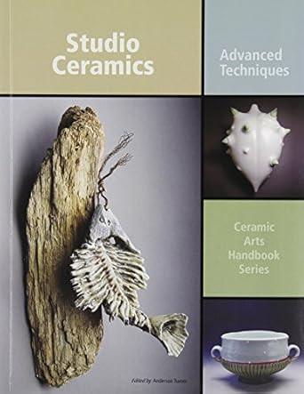 Studio Ceramics: Advanced Techniques