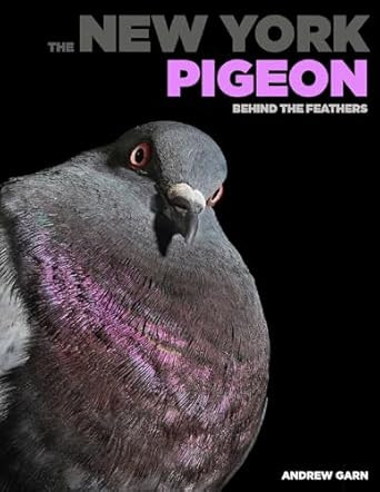 The New York Pigeon