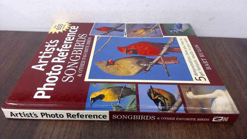 Artists Photo Reference