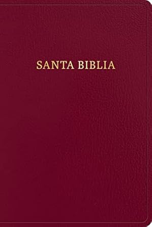 RVR 1960 Biblia letra gigante borgona imitacion piel con indice