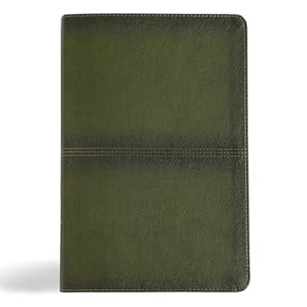 Men's Daily Bible w/ Reading Plan Articles Callouts Study Tools