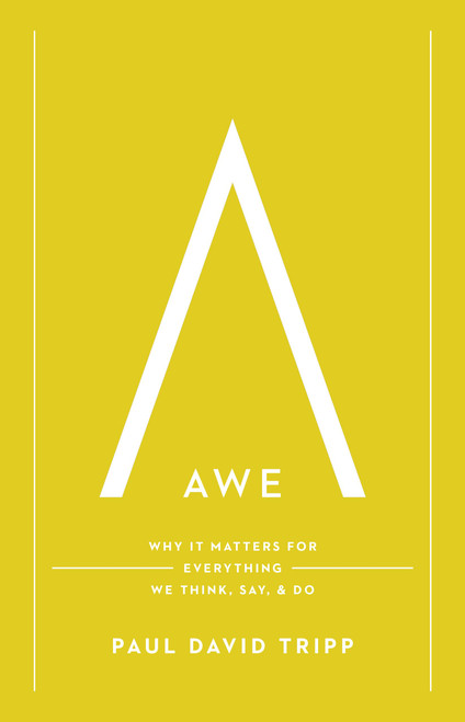 Awe: Why It Matters for Everything We Think Say and Do