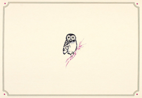 Owl Portrait Note Cards