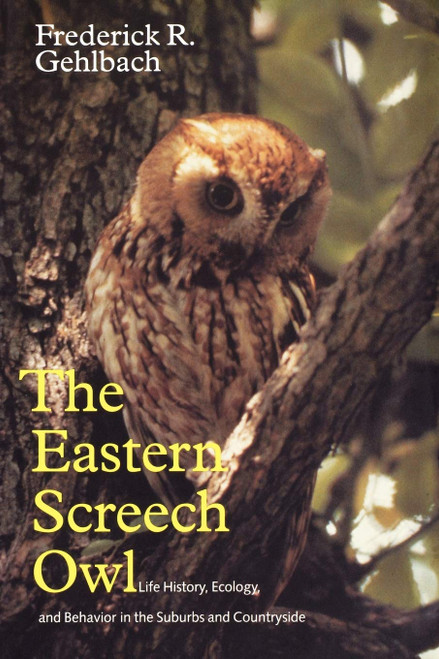 Eastern Screech Owl