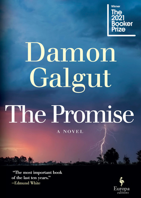 The Promise: A Novel
